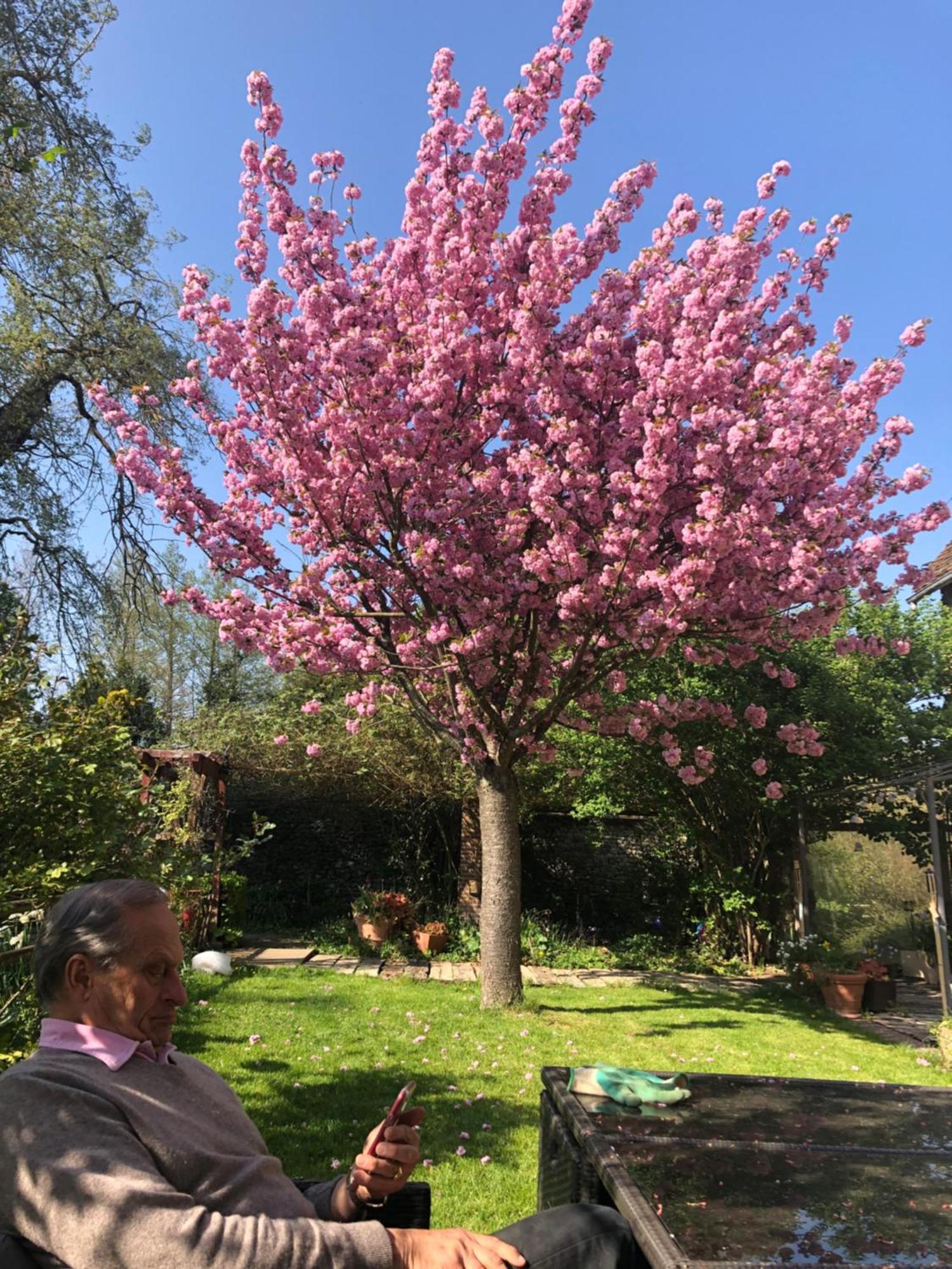 Le Moulin De Dannemarie 빌라 외부 사진